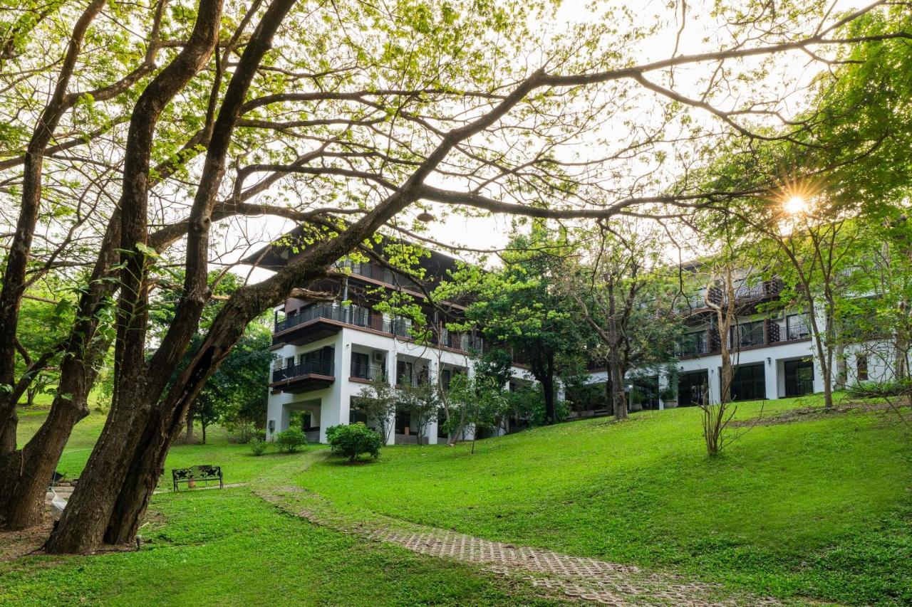 Rain Tree Khao Yai Hotel Pak Chong Eksteriør bilde